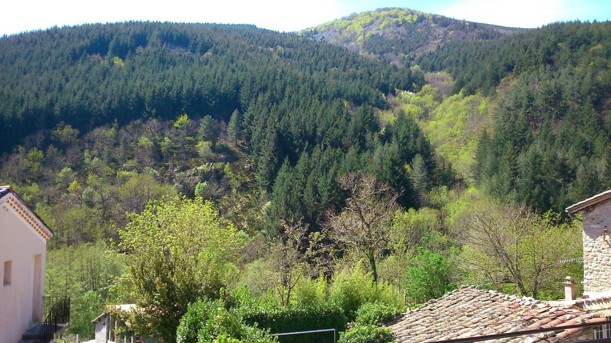 Auberge Le Romarin Valgorge Cameră foto